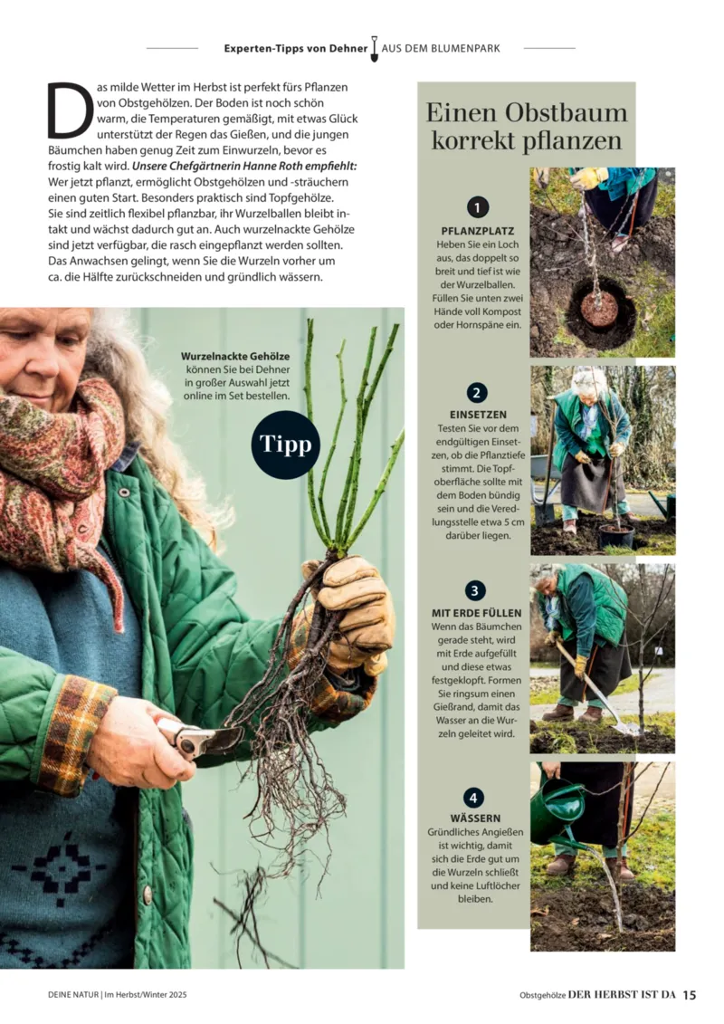 Dehner Prospekt vom 09.10.2025, Seite 15