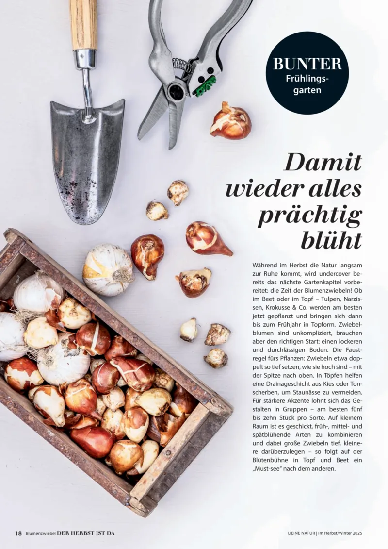 Dehner Prospekt vom 09.10.2025, Seite 18