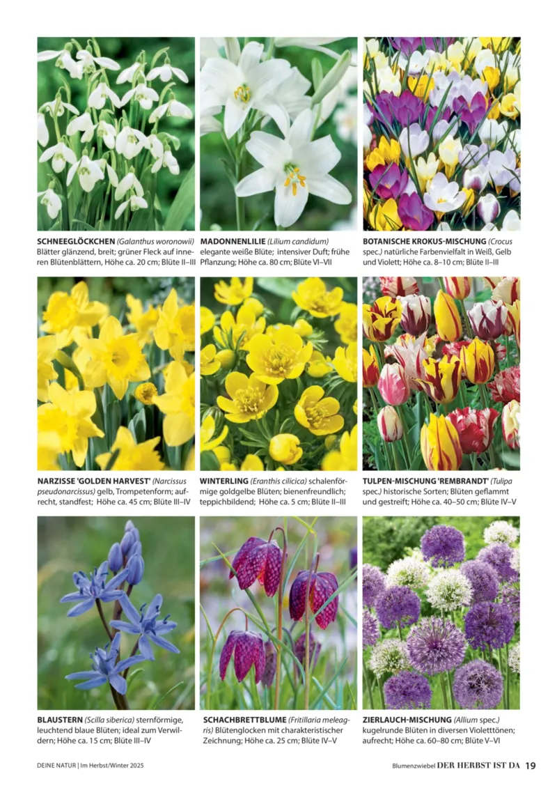 Dehner Prospekt vom 09.10.2025, Seite 19