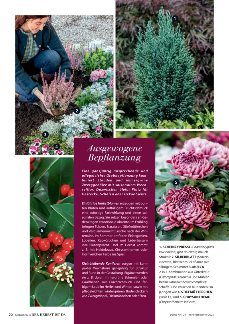 Dehner Prospekt vom 09.10.2025, Seite 22