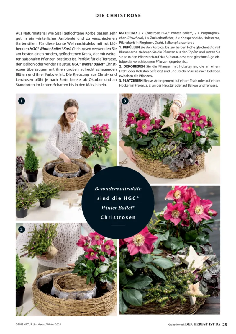 Dehner Prospekt vom 09.10.2025, Seite 25