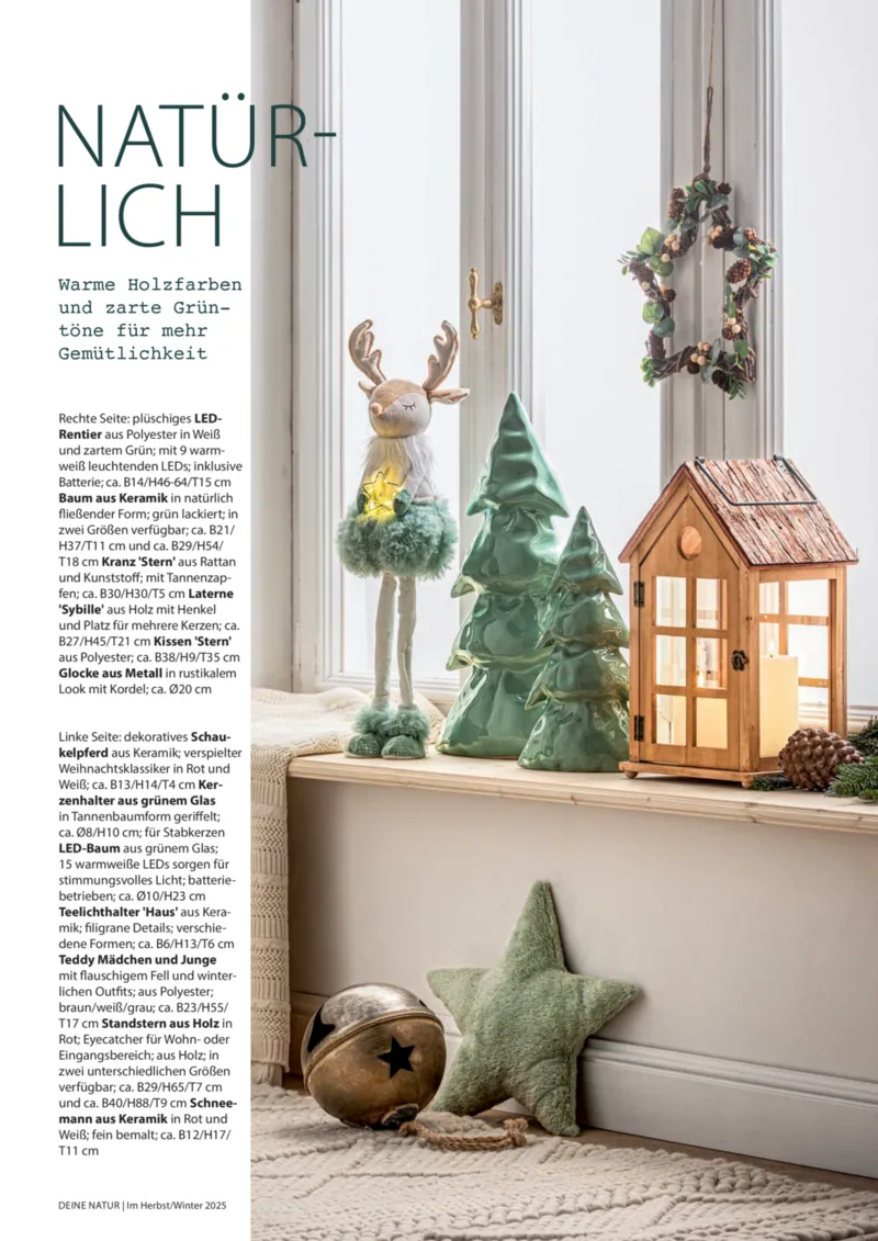 Dehner Prospekt vom 09.10.2025, Seite 41