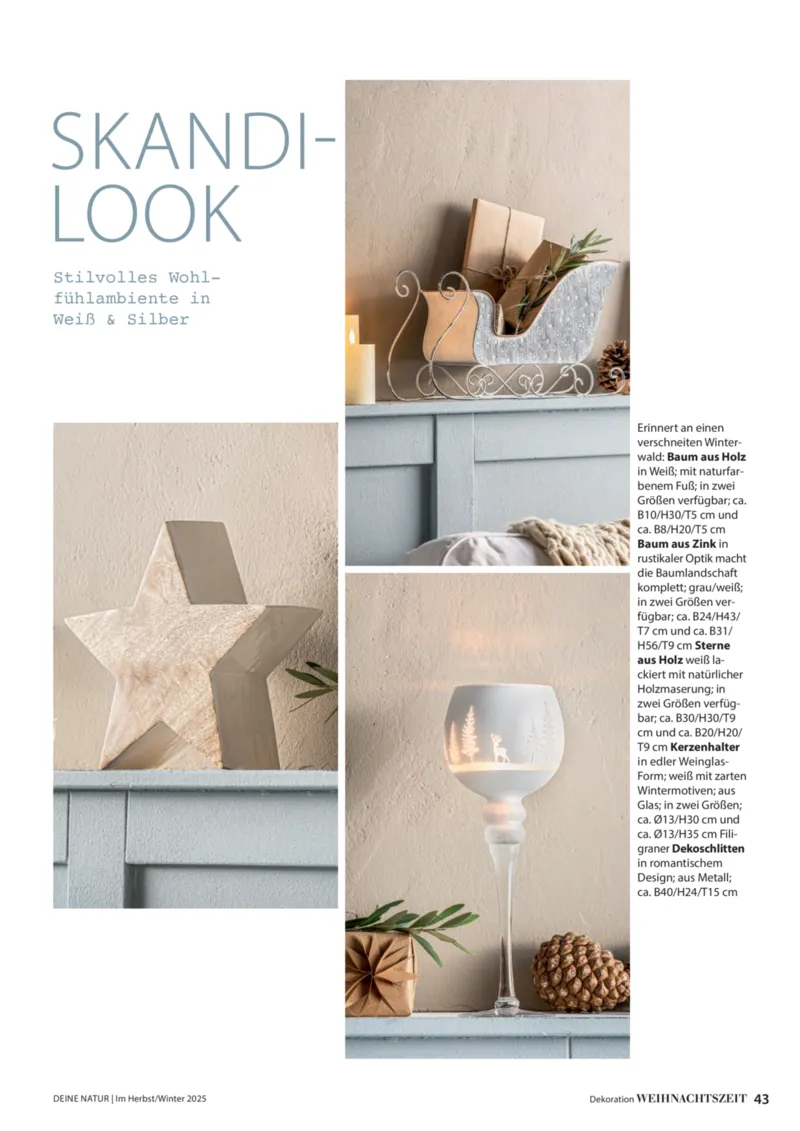 Dehner Prospekt vom 09.10.2025, Seite 43