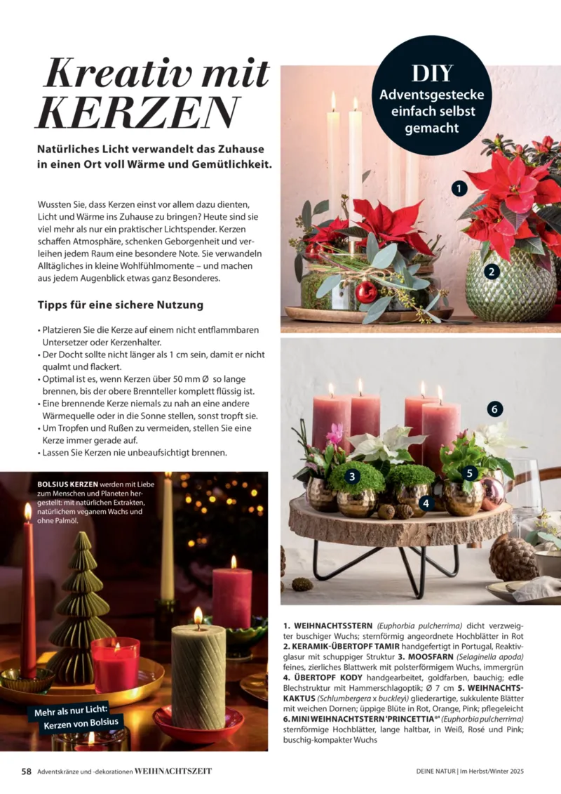 Dehner Prospekt vom 09.10.2025, Seite 58