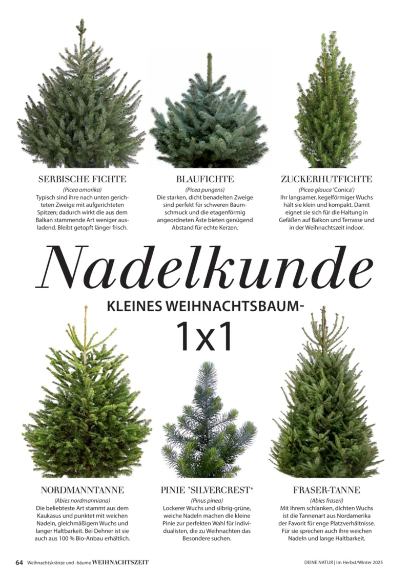 Dehner Prospekt vom 09.10.2025, Seite 64