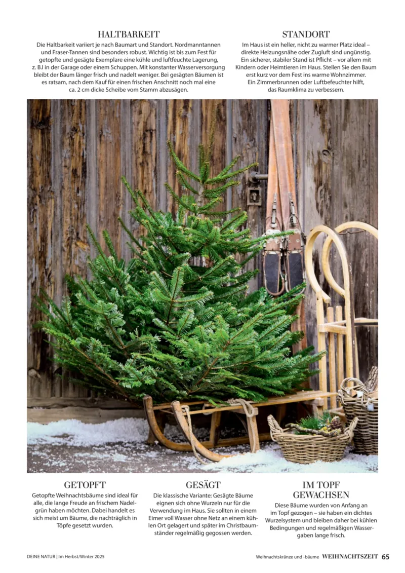 Dehner Prospekt vom 09.10.2025, Seite 65