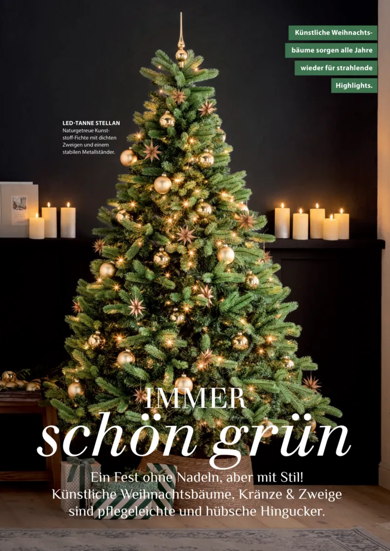 Dehner Prospekt vom 09.10.2025, Seite 66