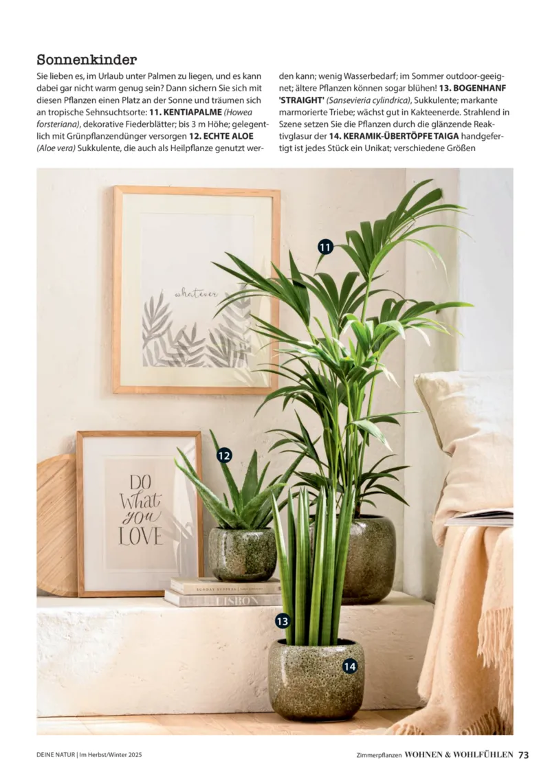 Dehner Prospekt vom 09.10.2025, Seite 73