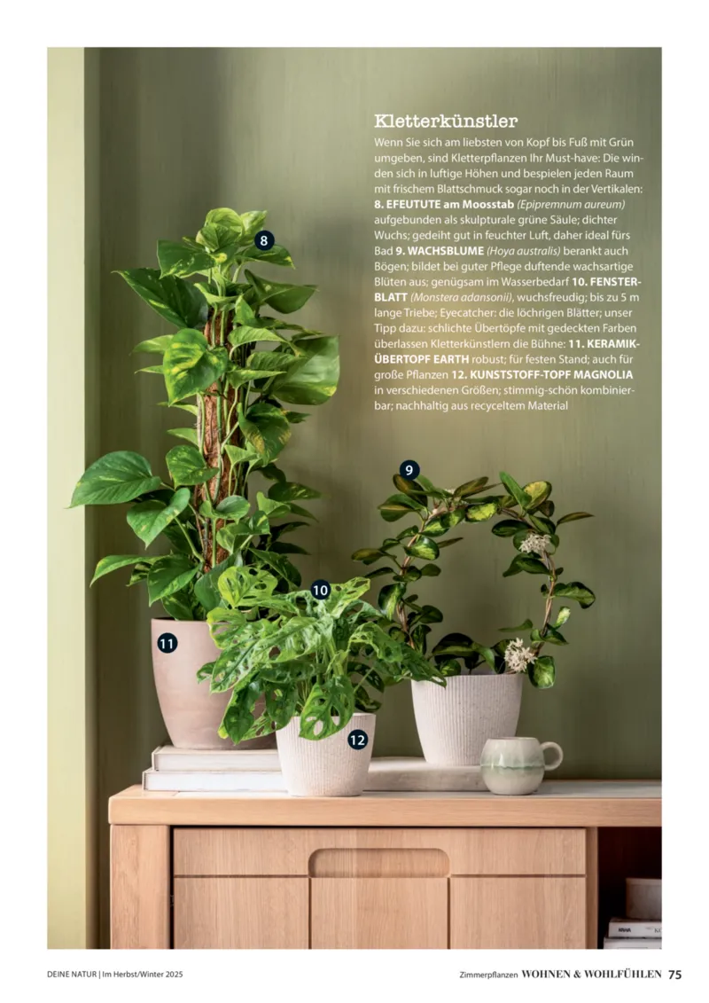 Dehner Prospekt vom 09.10.2025, Seite 75