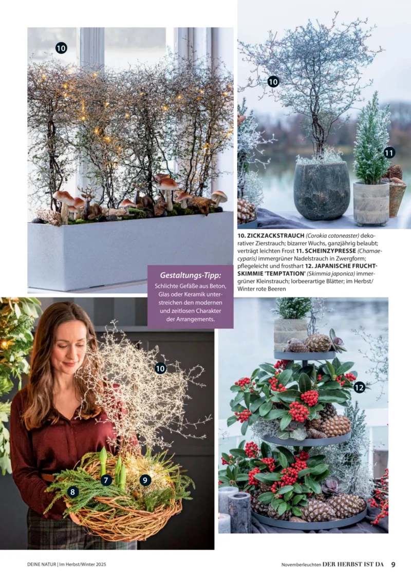 Dehner Prospekt vom 09.10.2025, Seite 9