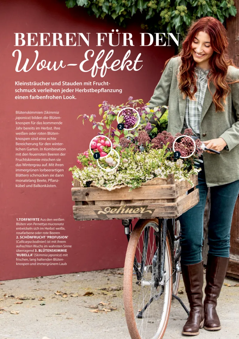 Dehner Prospekt vom 06.01.2026, Seite 10