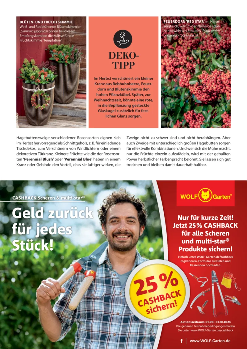 Dehner Prospekt vom 06.01.2026, Seite 11