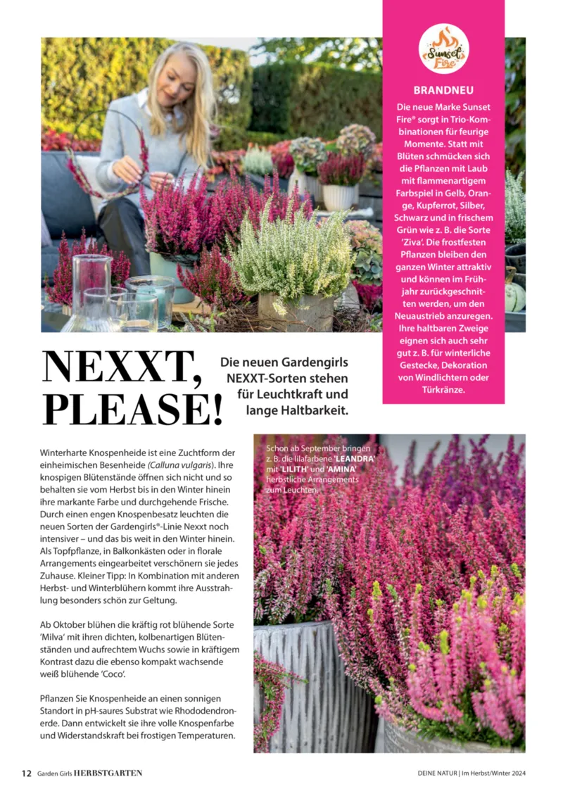 Dehner Prospekt vom 06.01.2026, Seite 12