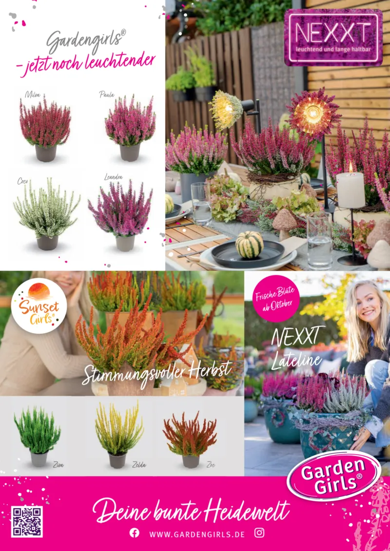 Dehner Prospekt vom 06.01.2026, Seite 13