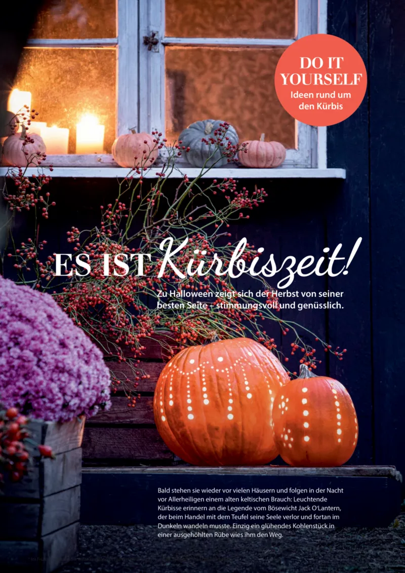 Dehner Prospekt vom 06.01.2026, Seite 14