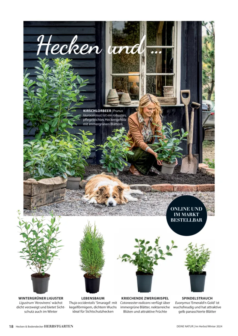 Dehner Prospekt vom 06.01.2026, Seite 18