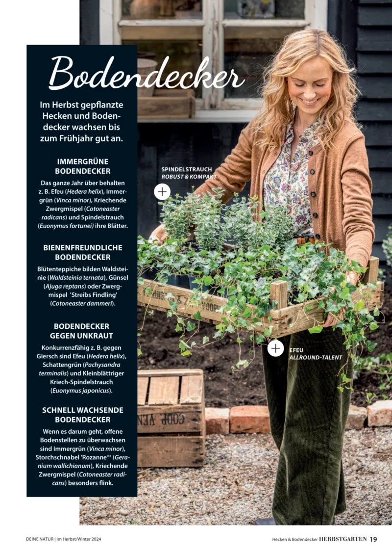 Dehner Prospekt vom 06.01.2026, Seite 19