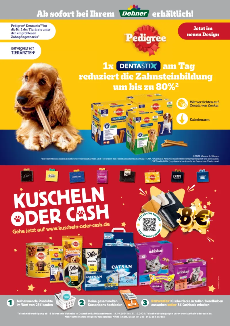 Dehner Prospekt vom 06.01.2026, Seite 2