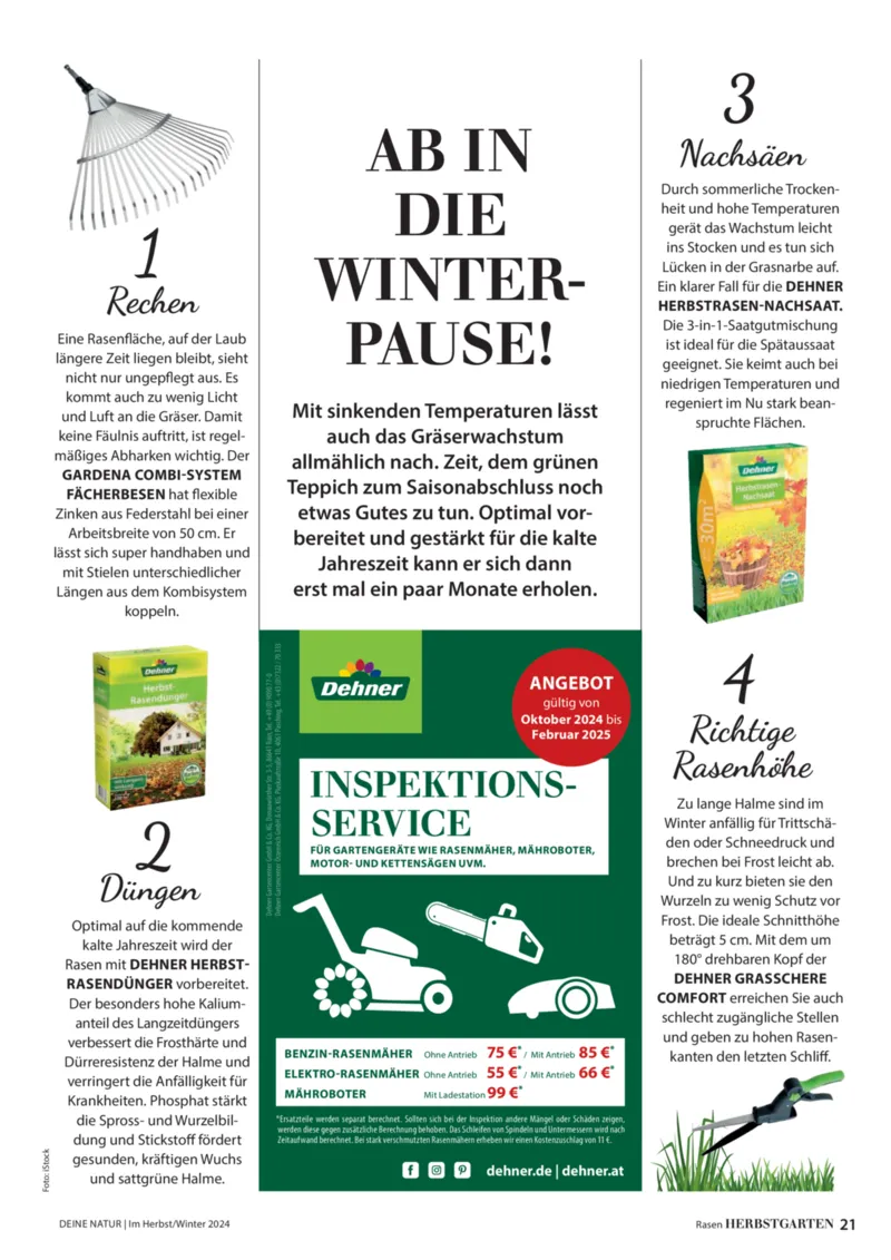 Dehner Prospekt vom 06.01.2026, Seite 21