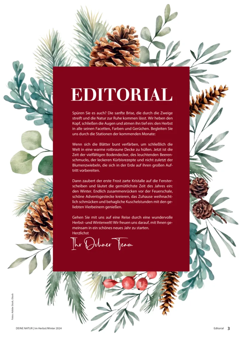 Dehner Prospekt vom 06.01.2026, Seite 3