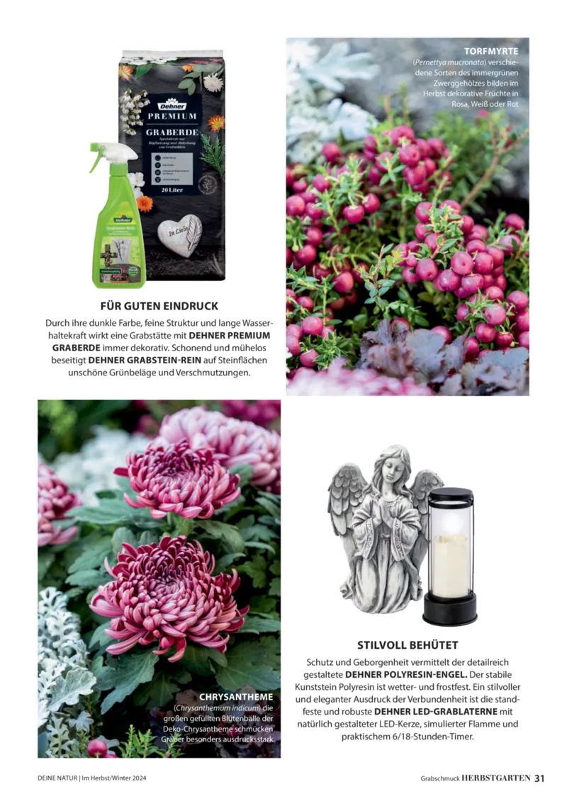 Dehner Prospekt vom 06.01.2026, Seite 31
