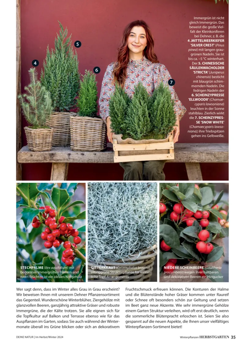 Dehner Prospekt vom 06.01.2026, Seite 35