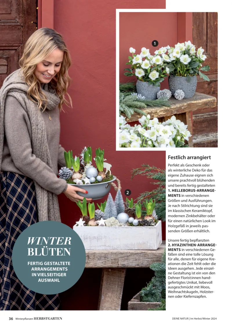 Dehner Prospekt vom 06.01.2026, Seite 36