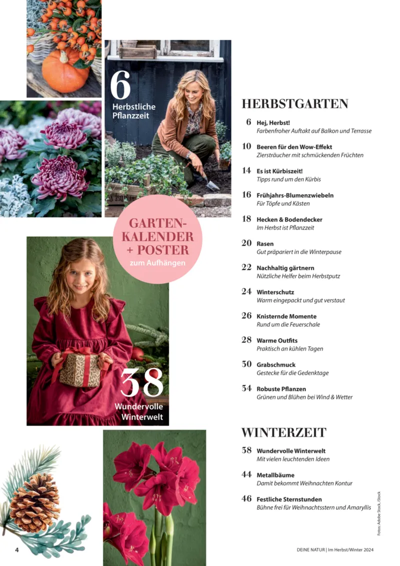 Dehner Prospekt vom 06.01.2026, Seite 4