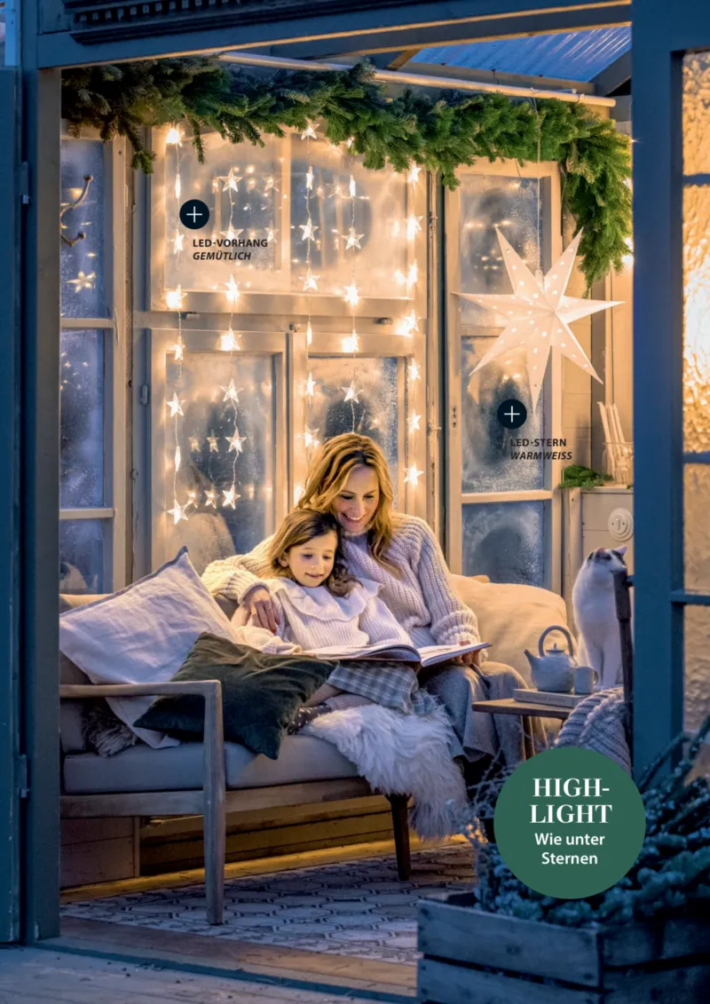 Dehner Prospekt vom 06.01.2026, Seite 43