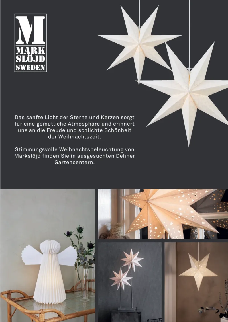 Dehner Prospekt vom 06.01.2026, Seite 45