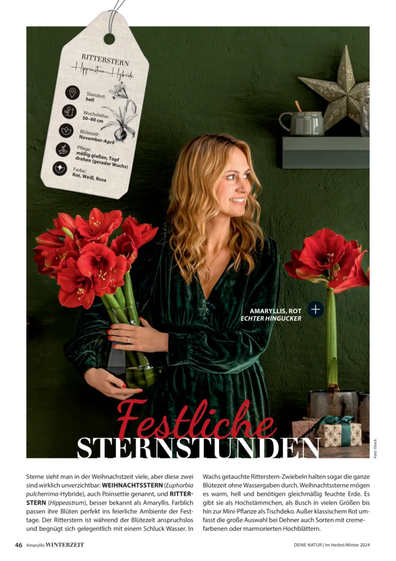 Dehner Prospekt vom 06.01.2026, Seite 46