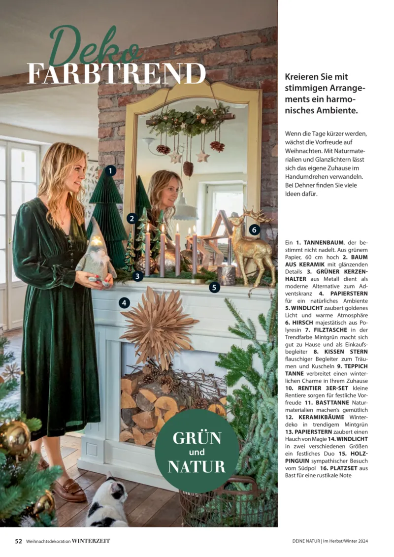 Dehner Prospekt vom 06.01.2026, Seite 52