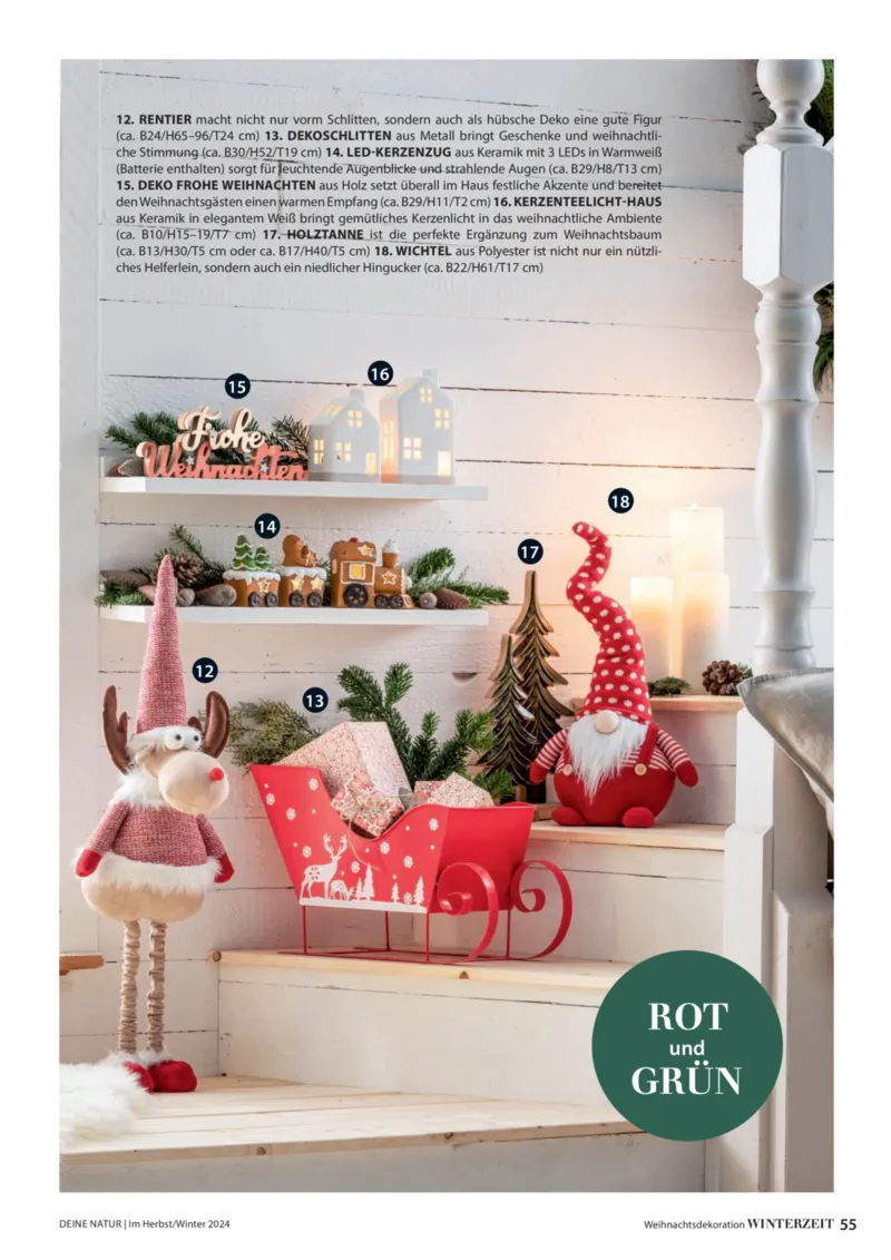 Dehner Prospekt vom 06.01.2026, Seite 55