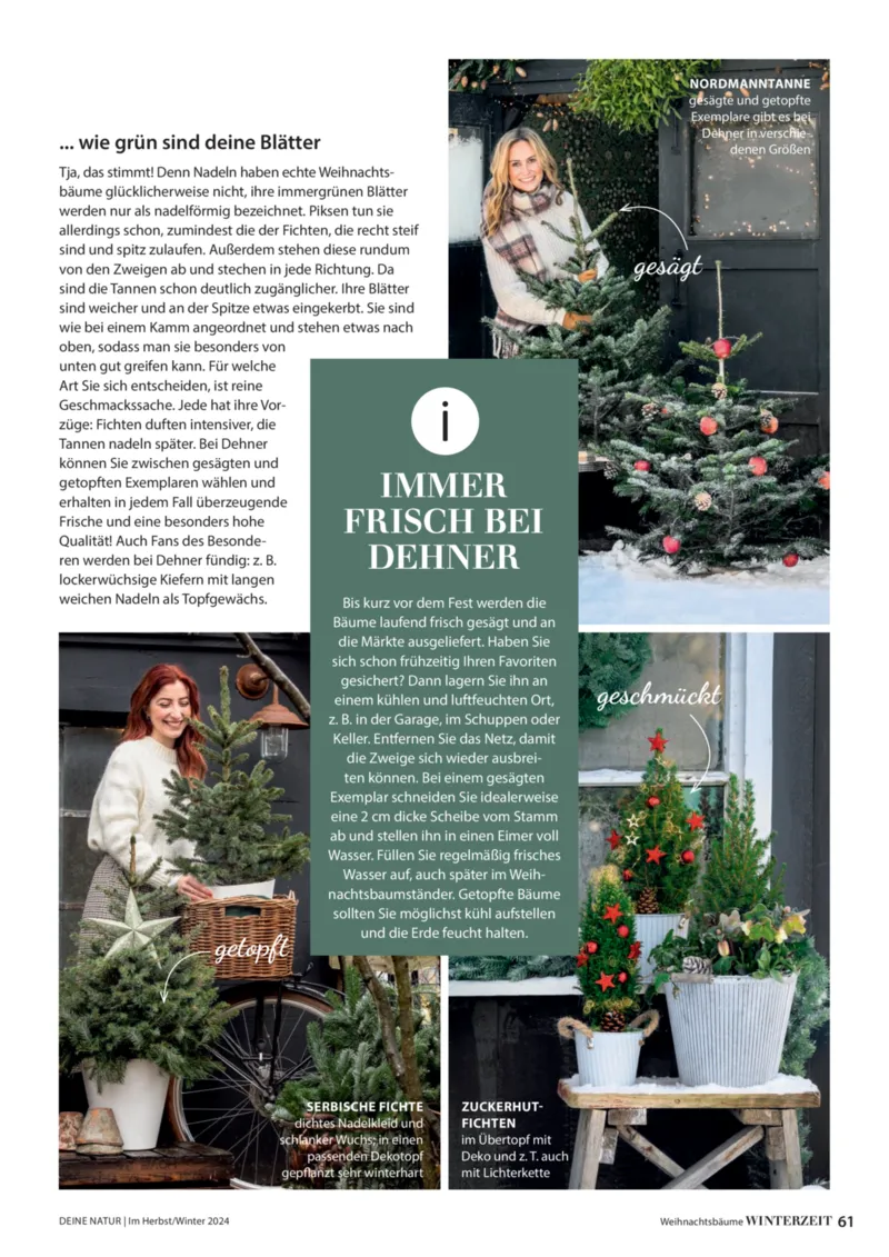 Dehner Prospekt vom 06.01.2026, Seite 61