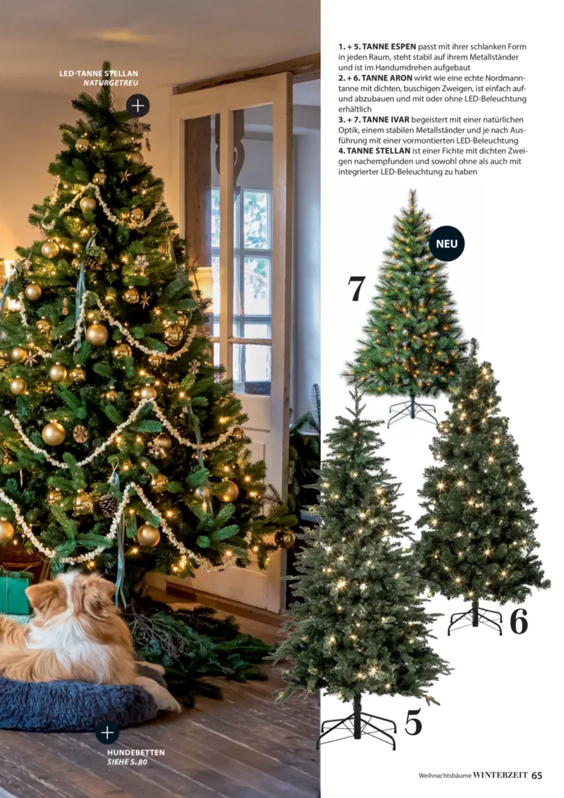 Dehner Prospekt vom 06.01.2026, Seite 65