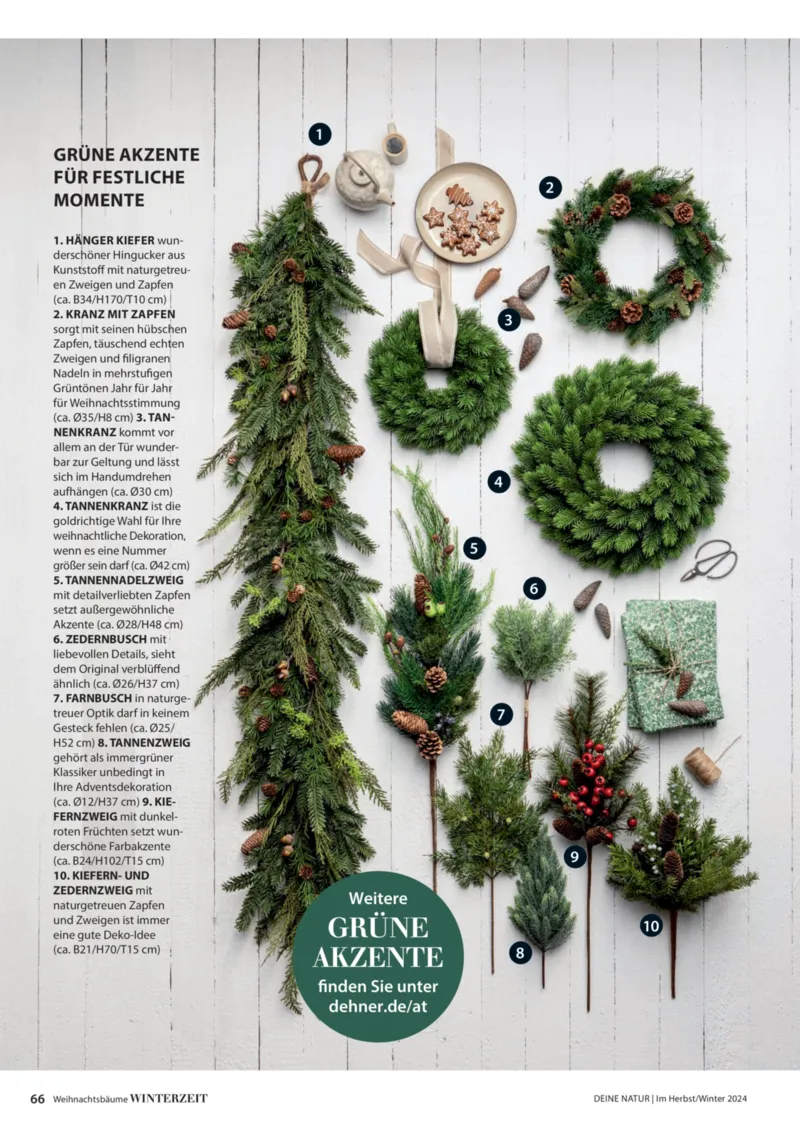 Dehner Prospekt vom 06.01.2026, Seite 66