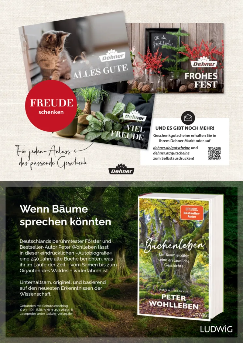 Dehner Prospekt vom 06.01.2026, Seite 68