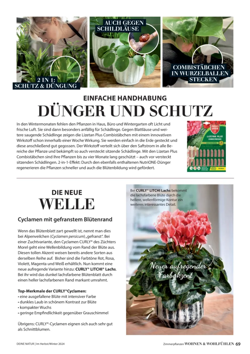 Dehner Prospekt vom 06.01.2026, Seite 69