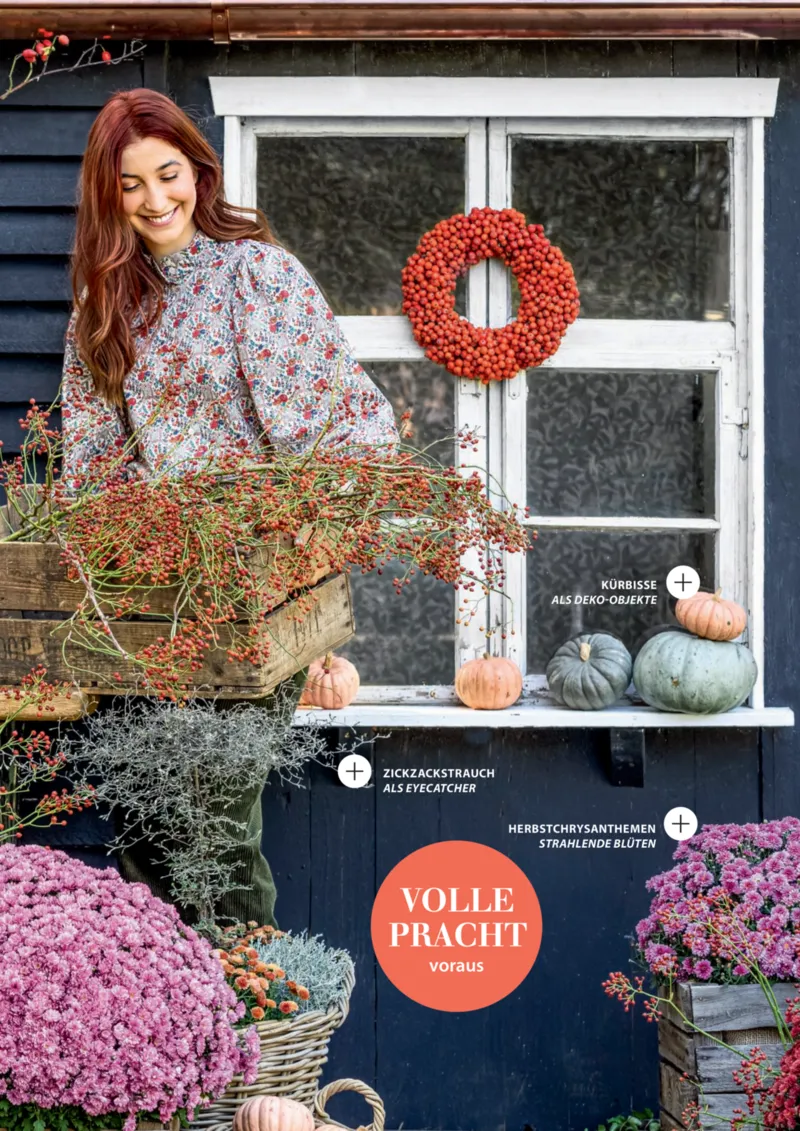 Dehner Prospekt vom 06.01.2026, Seite 7