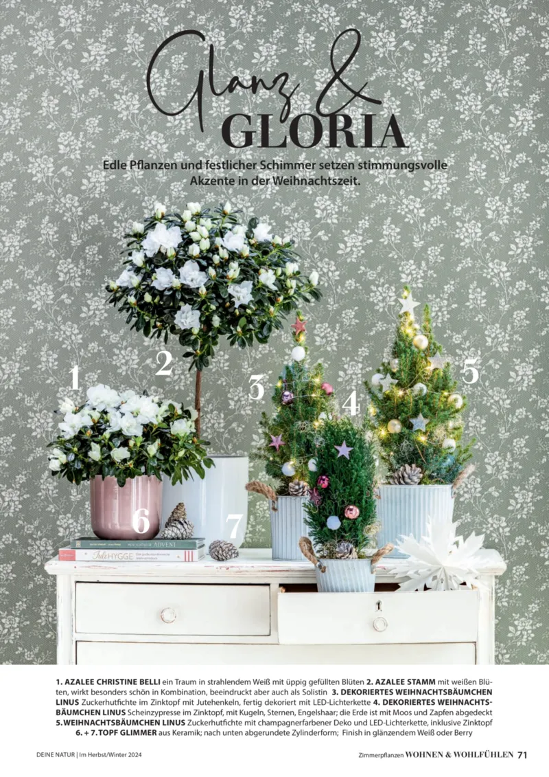 Dehner Prospekt vom 06.01.2026, Seite 71