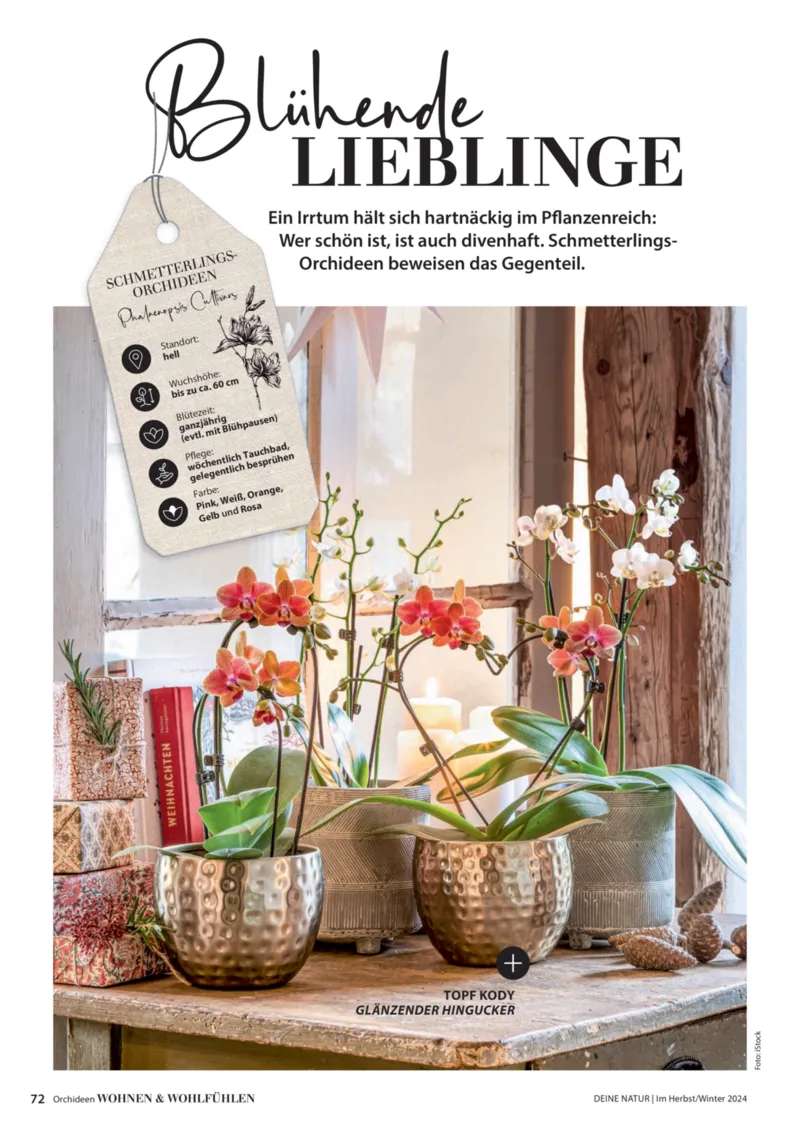 Dehner Prospekt vom 06.01.2026, Seite 72