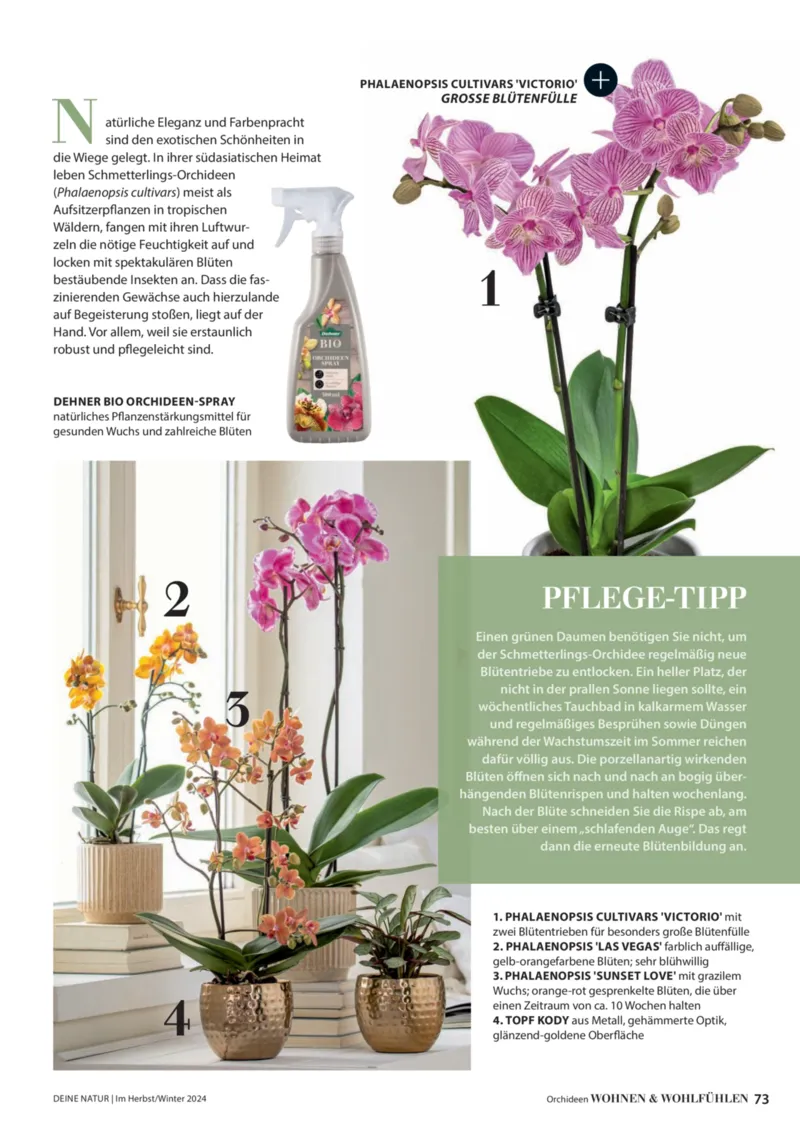 Dehner Prospekt vom 06.01.2026, Seite 73