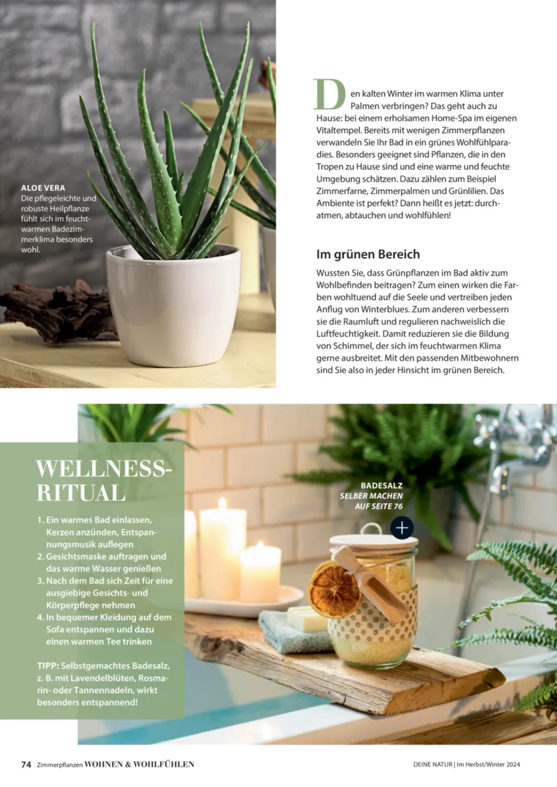 Dehner Prospekt vom 06.01.2026, Seite 74