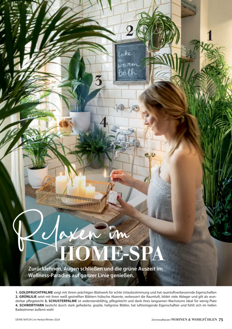 Dehner Prospekt vom 06.01.2026, Seite 75