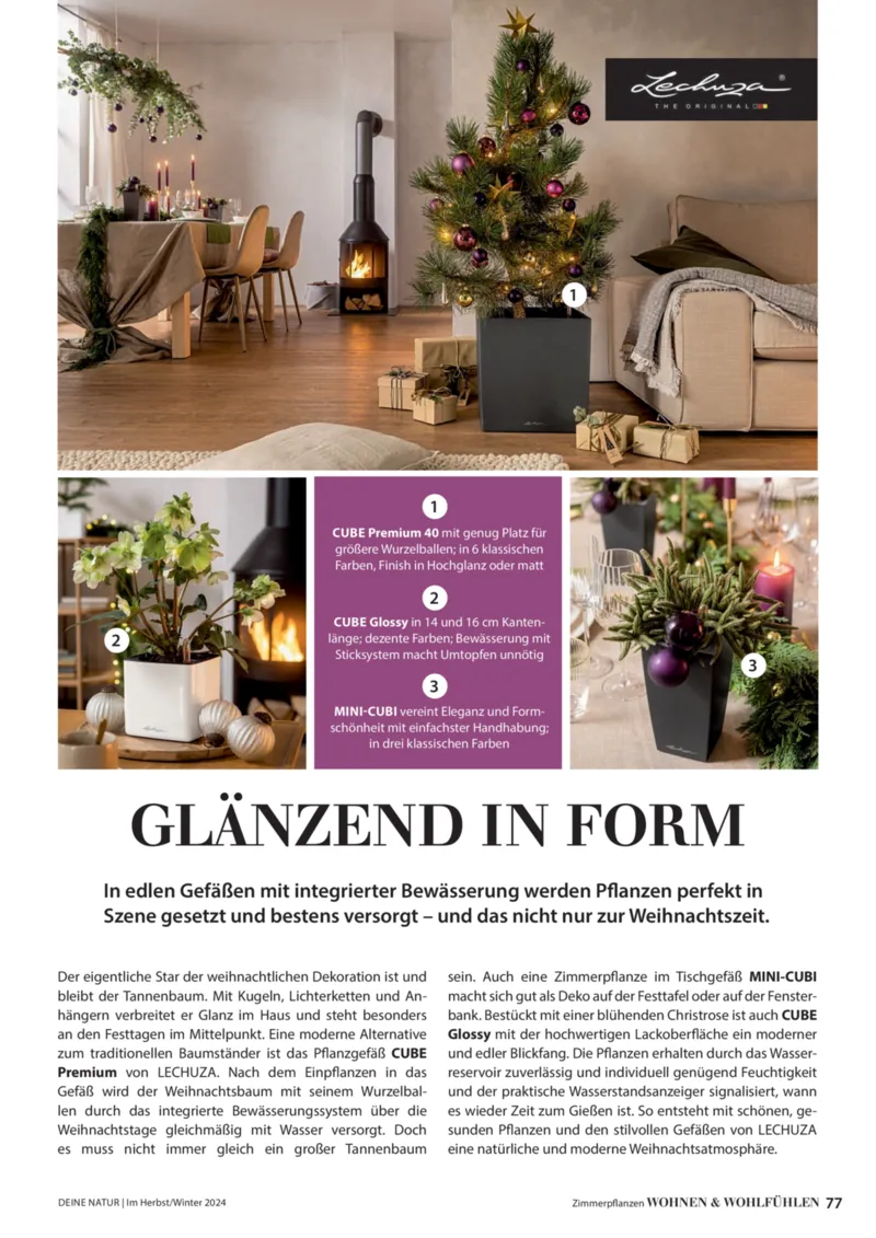 Dehner Prospekt vom 06.01.2026, Seite 77