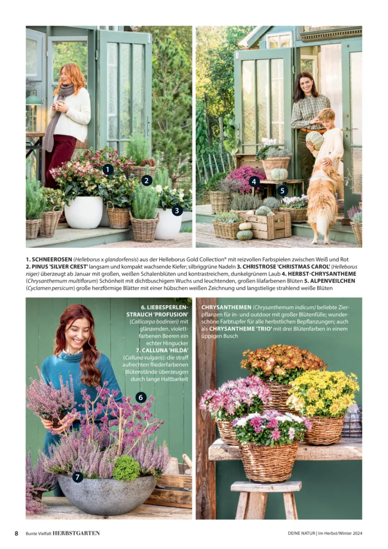 Dehner Prospekt vom 06.01.2026, Seite 8