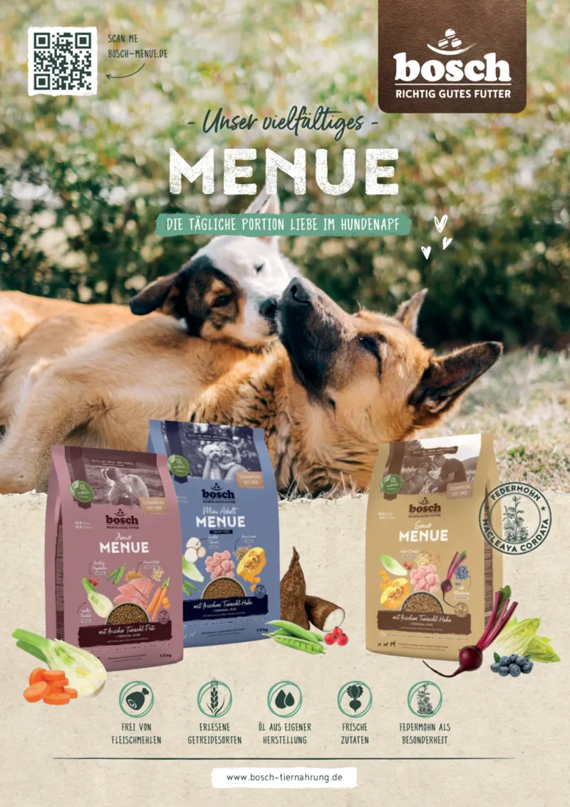 Dehner Prospekt vom 06.01.2026, Seite 81