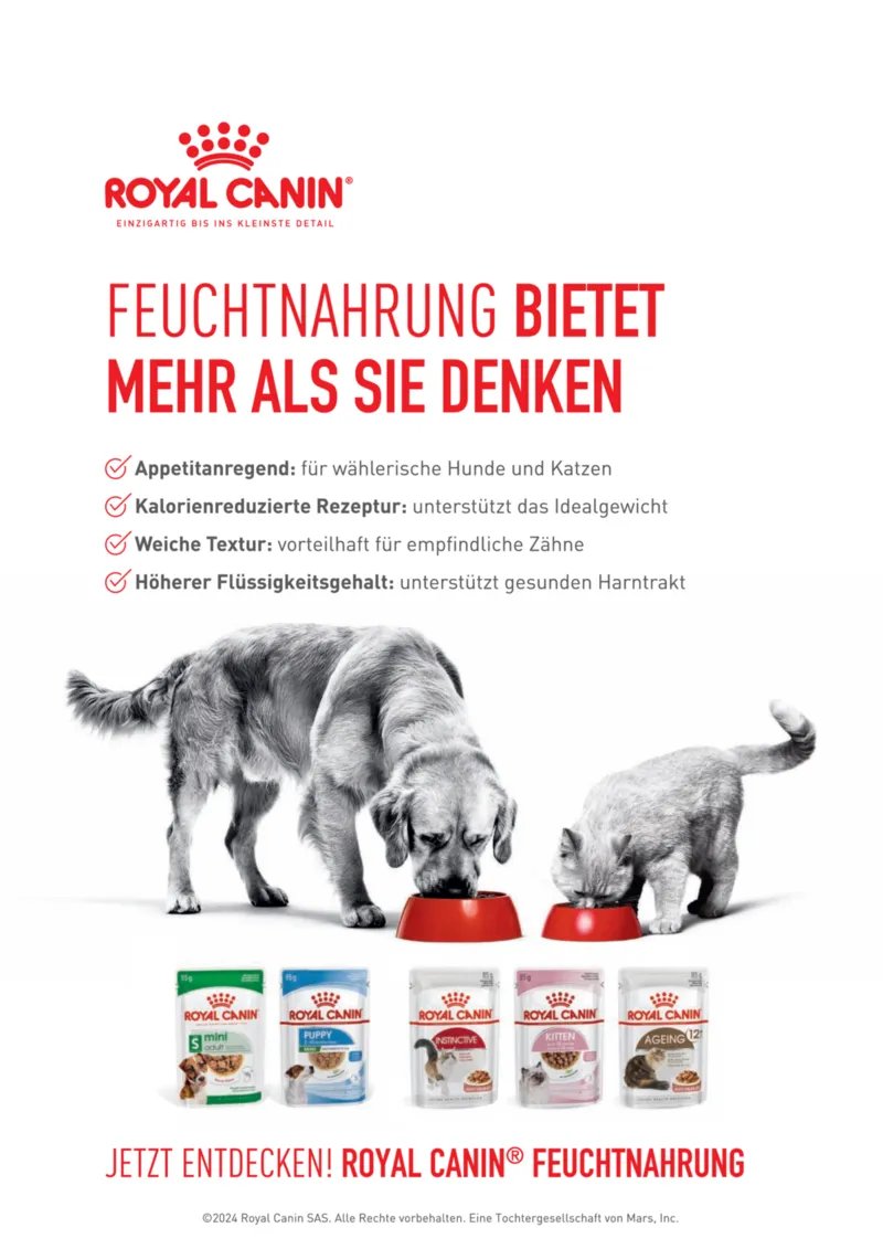 Dehner Prospekt vom 06.01.2026, Seite 83