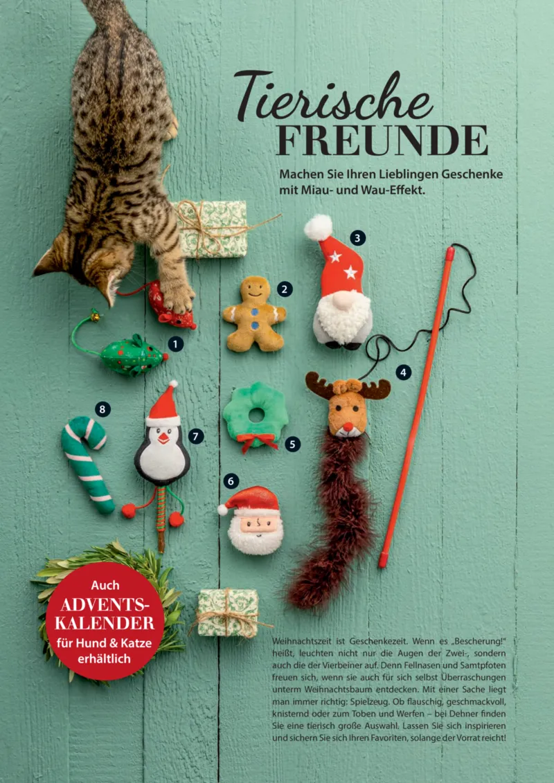 Dehner Prospekt vom 06.01.2026, Seite 84