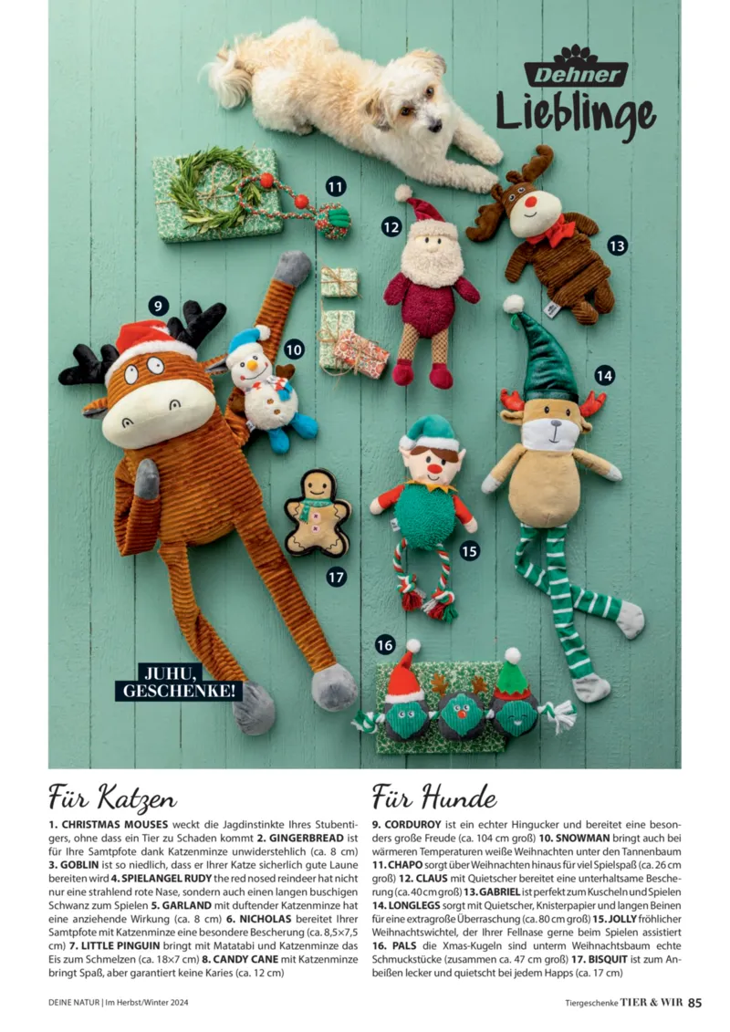Dehner Prospekt vom 06.01.2026, Seite 85